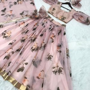 Beautiful organza lehenga with blouse and dupatta -- princess